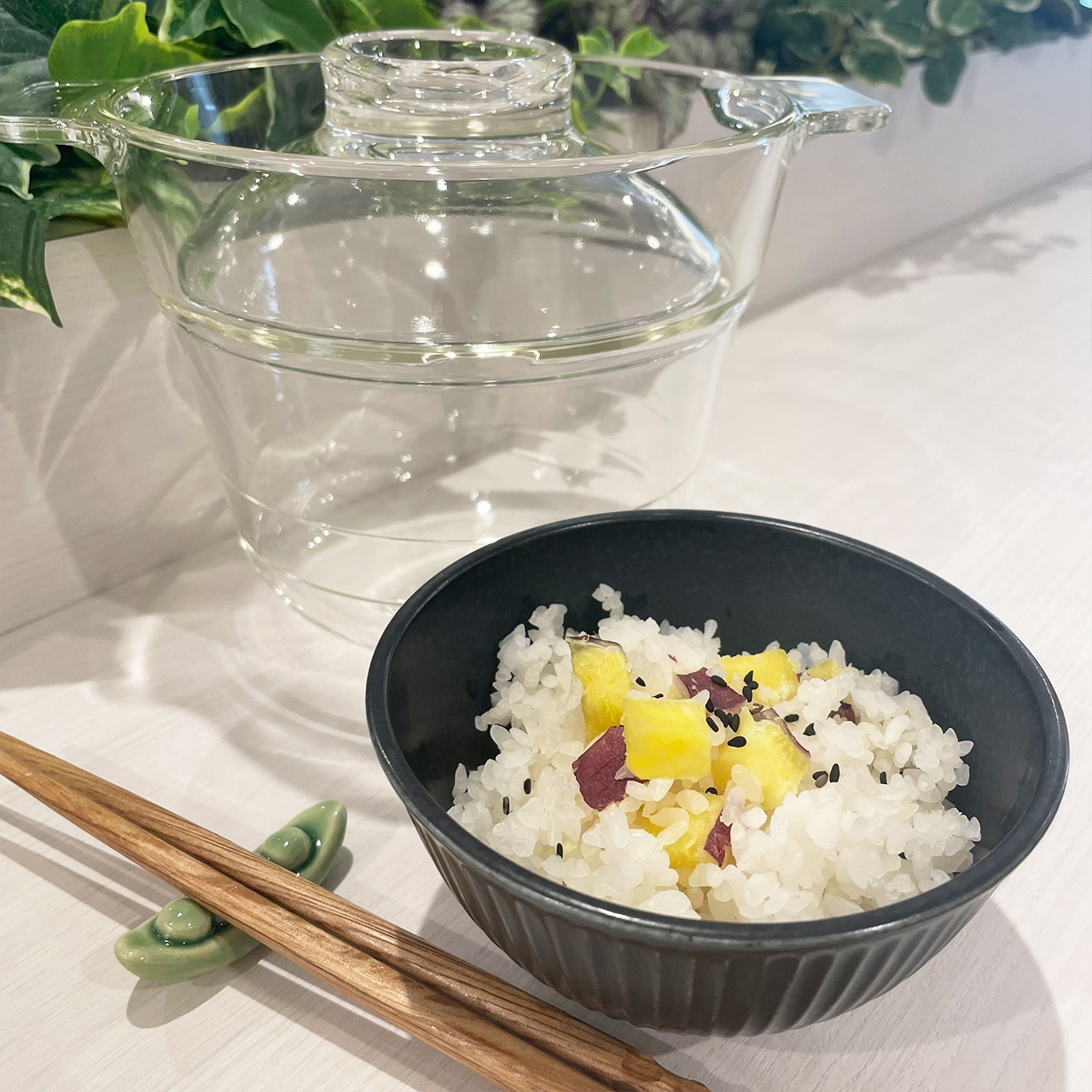 贅沢品 ハリオ HARIO 一膳屋用フタパッキン 対応商品